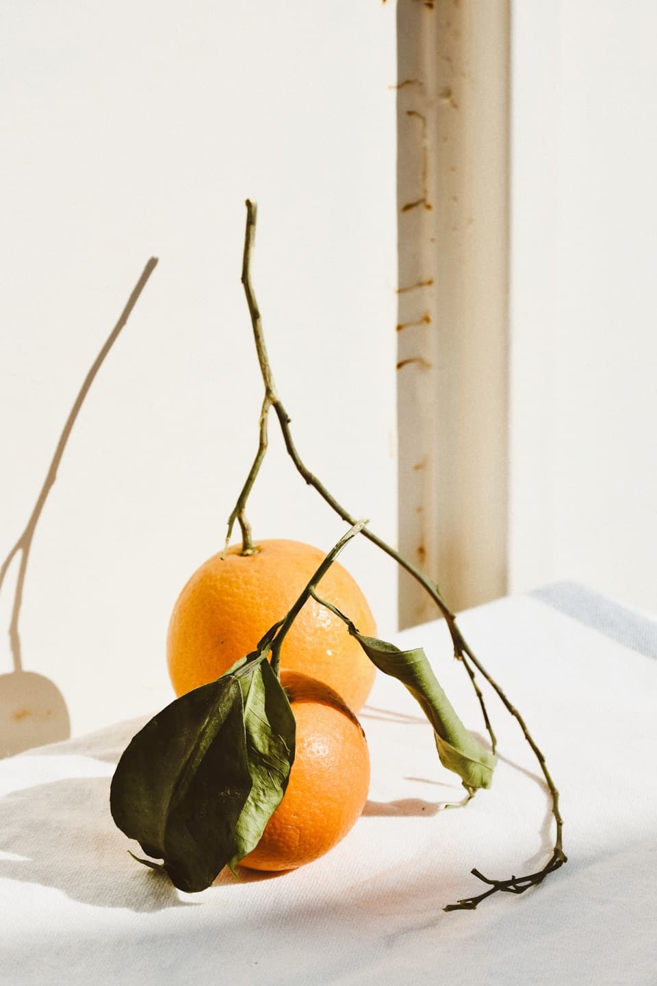 Fresh citrus in soft natural light