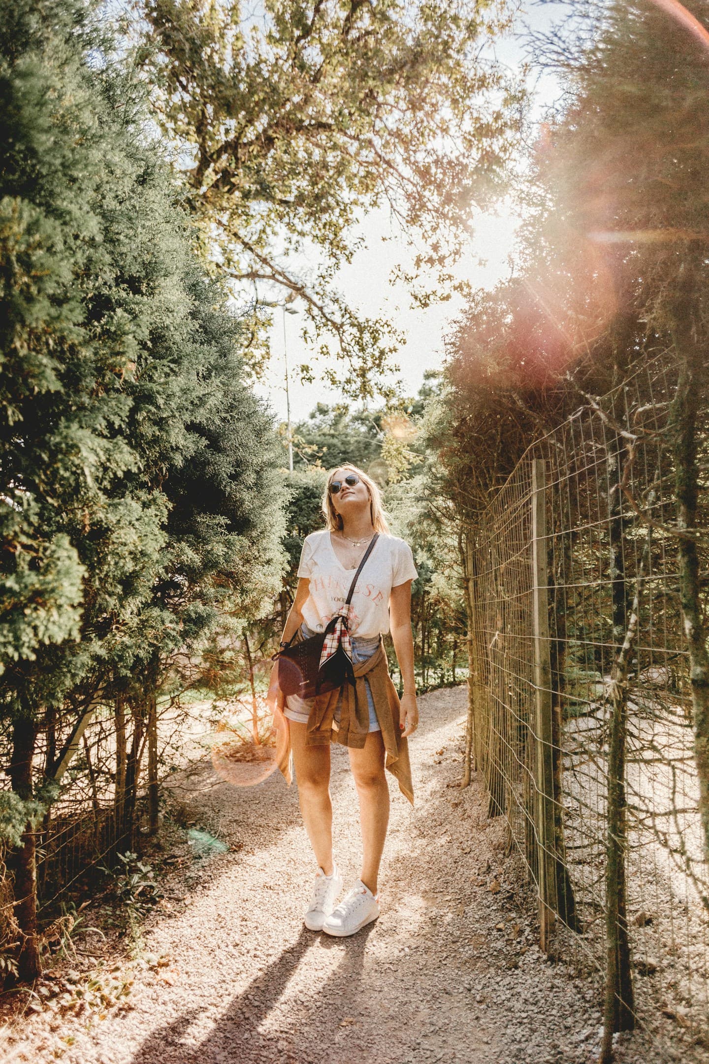 A quiet moment on a sunlit garden path